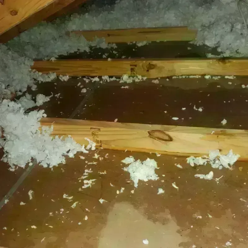 Attic Water Damage in New Town, ND